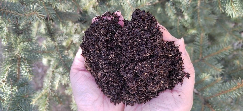 ������ ��������� ����������